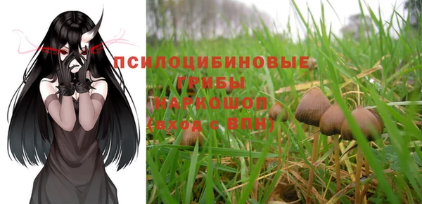 метадон Горняк
