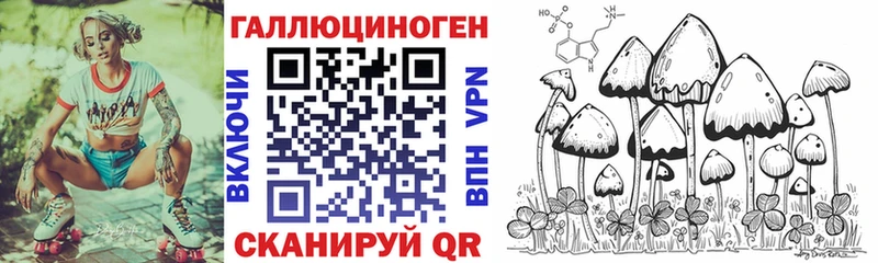 Купить Берёзовка Псилоцибиновые грибы Psilocybe